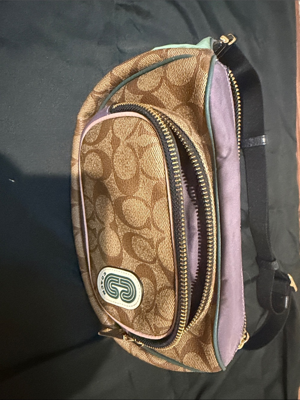 Coach Brown Signature Canvas Belt Bag with Purple and Mint Trim